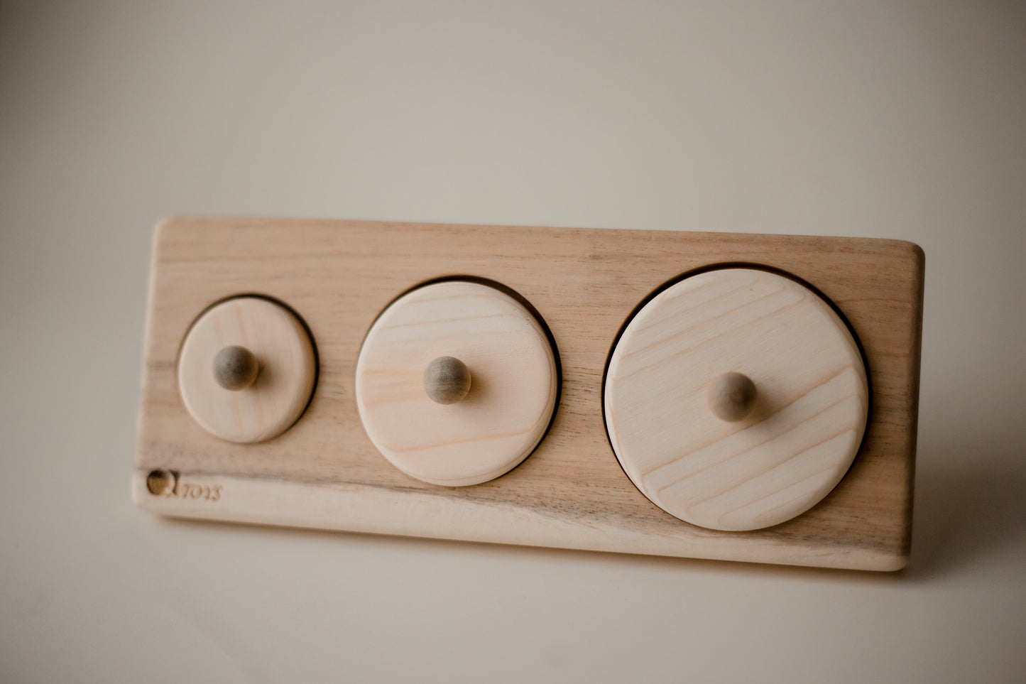 3 Circle Wooden Puzzle