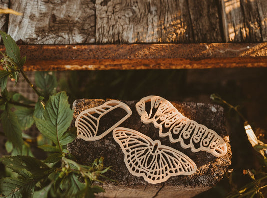 Monarch Butterly Lifecycle Eco Cutters -Set of 3
