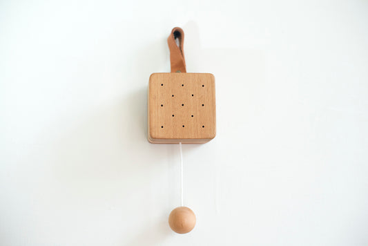 Music Box - Edelweiss
