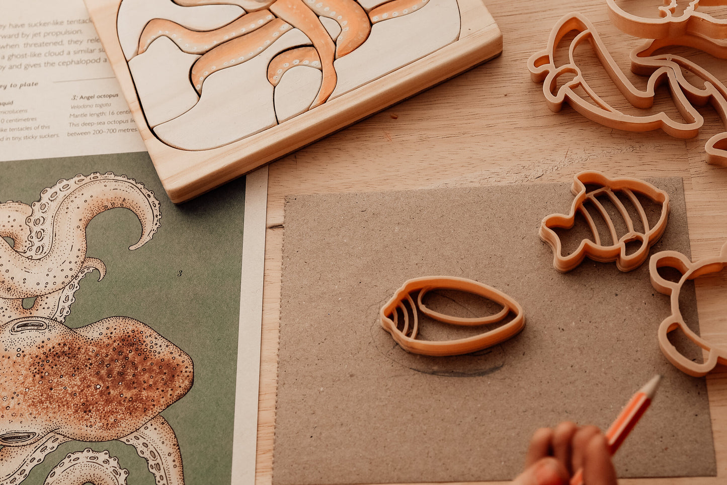 Mini Under The Sea Eco Cutters -Set of 6