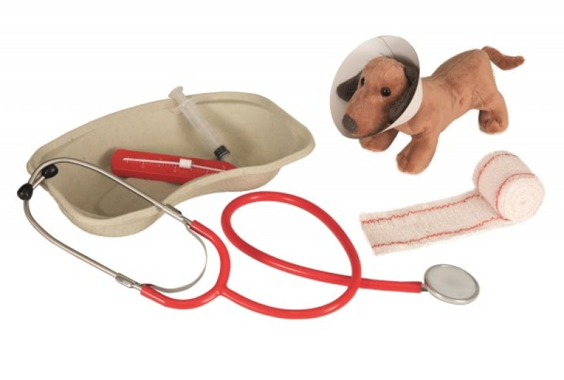 Pretend Play Veterinary Case