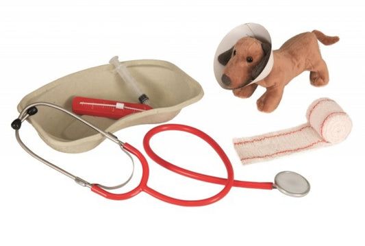 Pretend Play Veterinary Case